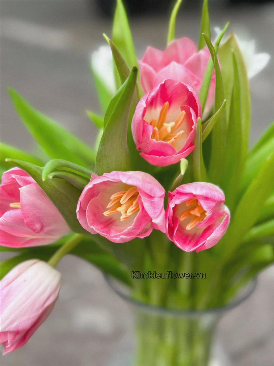 Hoa cưới tulip hồng - mang vẻ đẹp nhẹ nhàng, nữ tính; biểu tượng cho sự may mắn và cuộc hôn nhân viên mãn